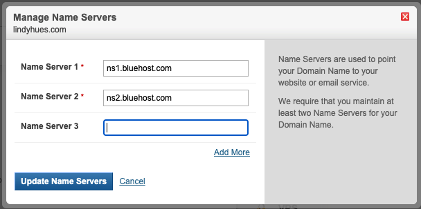 A screenshot that shows I have secured a domain and hosting space as well as updated the DNS settings to connect them